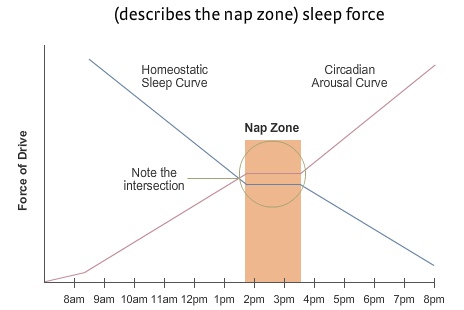 nap zone