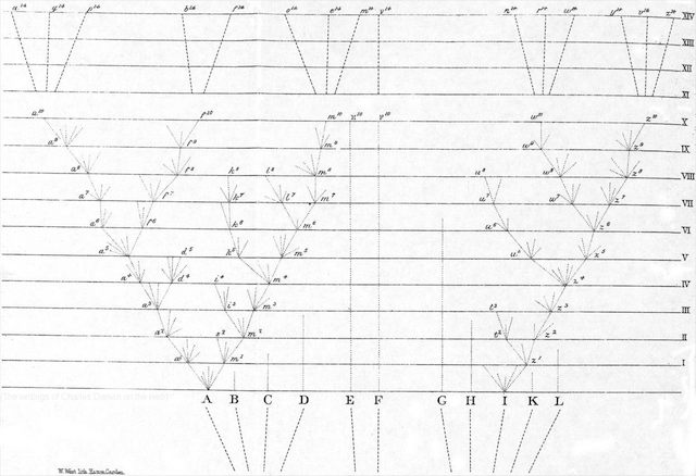 1872_Origin_F391_figdiagram