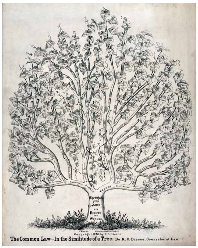 the common law-compressed