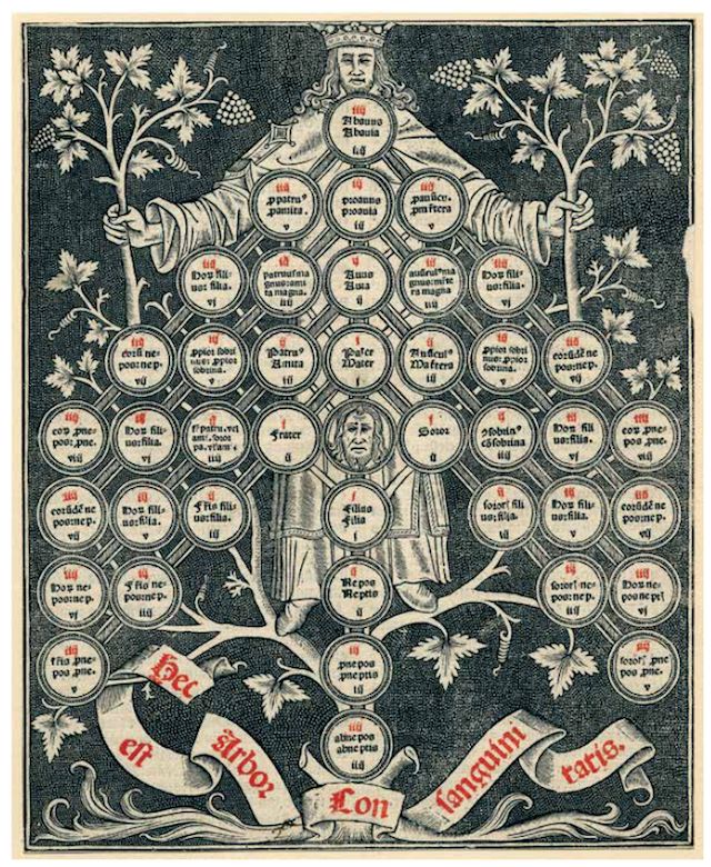 tree of consanguinity-compressed